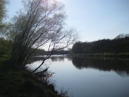 Labe 20 Kersko U Kamene 12.4.2009 (2).JPG